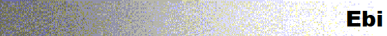 Ebi